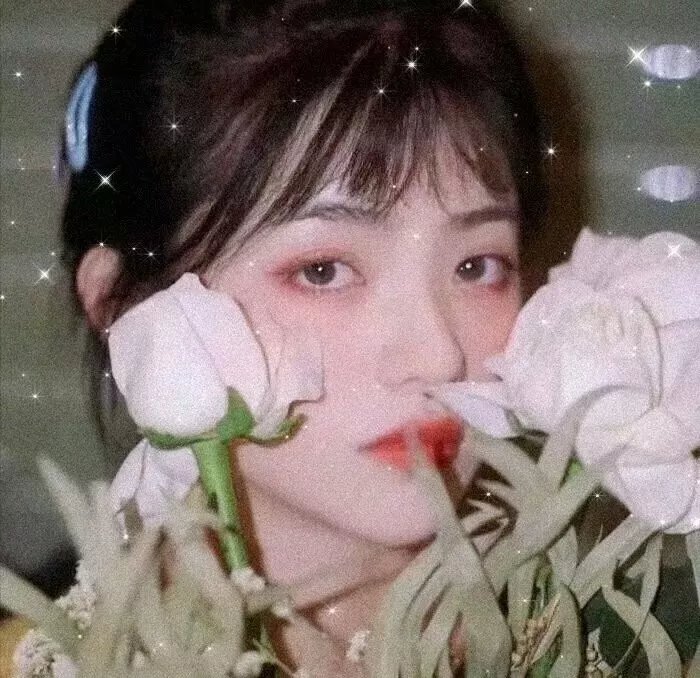 口碑好剧专区